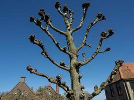 Enkhuizen in the netherlands photo