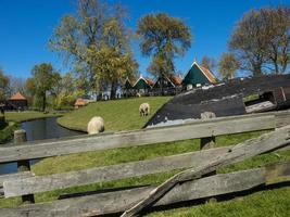 la ciudad holandesa enkhuizen foto