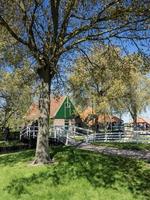 the dutch city of Enkhuizen photo