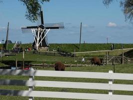 enkhuizen in the netherlands photo