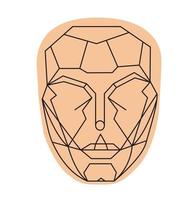 face shape , perfect face anatomy vector