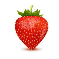 Set of realistic fresh strawberry with leaves, fruit cut in half, fruit without their calyx, isolated on white background. 3d vector illustration. Can be used in your own design, appearance.