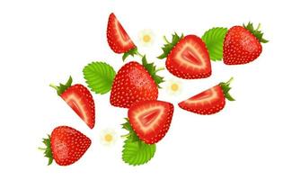 Fresh strawberry fruits flying and leaves with strawberries of pieces element in the middle on white background. Realistic 3D vector illustration.