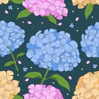 Hydrangeas Colorfull Flower vector