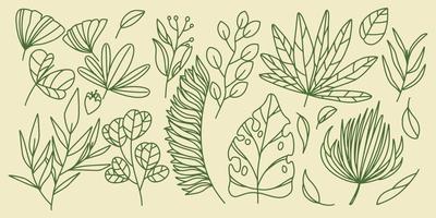 Fifteen Hand drawing set floral botanical fern forest elements vector