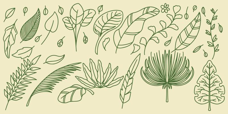 Sixteen Hand drawing set floral botanical fern forest elements