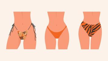 Set of female models in bikinis, in their underwear. Female thighs. Female silhouettes in panties or swimwear. vector