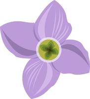 Cuckoo flower vector art for graphic design and decorative element