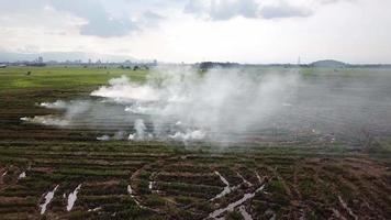 catastrophe rizière ouvrir le feu au village malais, asie du sud-est. video