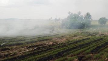 el fuego abierto causa una catástrofe ambiental en el sudeste asiático. video