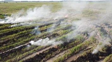 vista aérea fuego abierto por granjero en el campo en malasia. video