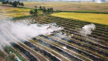 open vuur op rijstveld dat luchtvervuiling veroorzaakt in Zuidoost-Azië. video