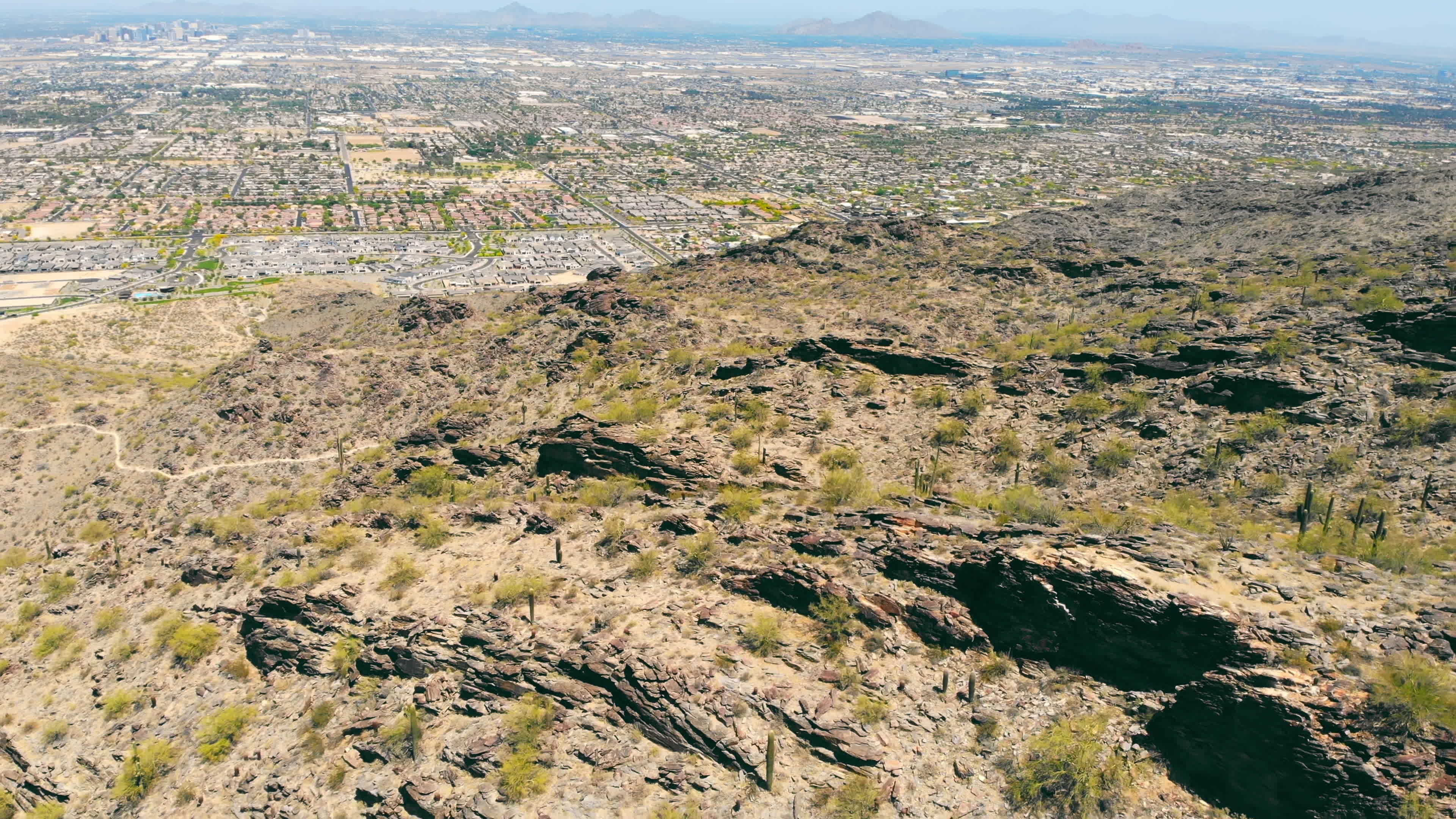 Dobbins Lookout. South Mountain Park and Preserve. Lots of tall cacti growing in the mountains