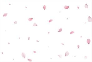 fondo de pétalos de sakura. telón de fondo de pétalos de cereza vector