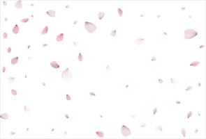 Sakura petals background. Cherry petals backdrop vector