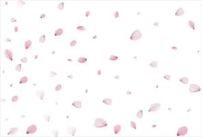 Cherry petals backdrop. Sakura petals background. vector