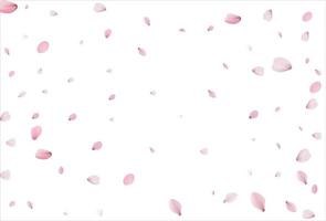 Cherry petals backdrop. Sakura petals background. vector