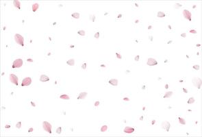 Cherry petals backdrop. Sakura petals background. vector