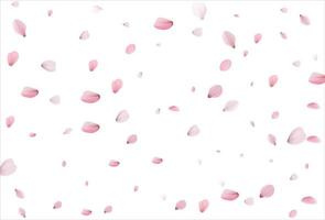 Cherry petals backdrop. Sakura petals background. vector