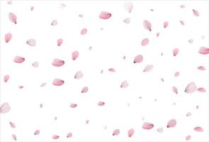 Cherry petals backdrop. Sakura petals background. vector