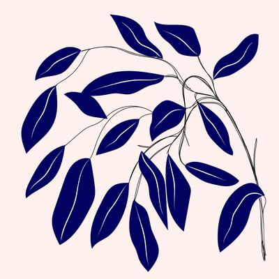 Leaves, flowers, plants hand drawn vector illustration.