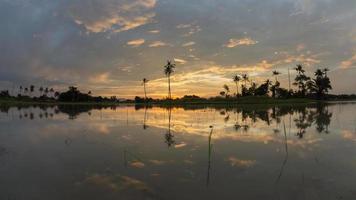 Zeitrafferreflexionssonnenuntergang mit goldener Wolke, Kokospalmen. video