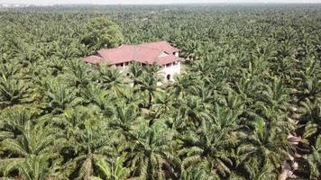 Aerial view colonial building 99 door mansion at oil palm estate video
