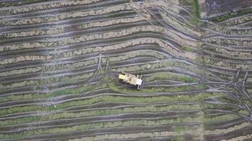 Luftaufnahme der Adlerfliege umgibt den Mähdrescher im Reisfeld. video
