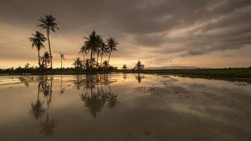 Time lapse sunset with beautiful cloud over the coconut trees in reflection. video