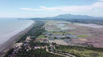 volar sobre el campo de arroz en kuala muda cerca del mar. video