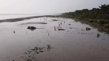 Aerial muddy soil at mangrove trees at coastal near Kuala Sungai Muda, Kedah. video