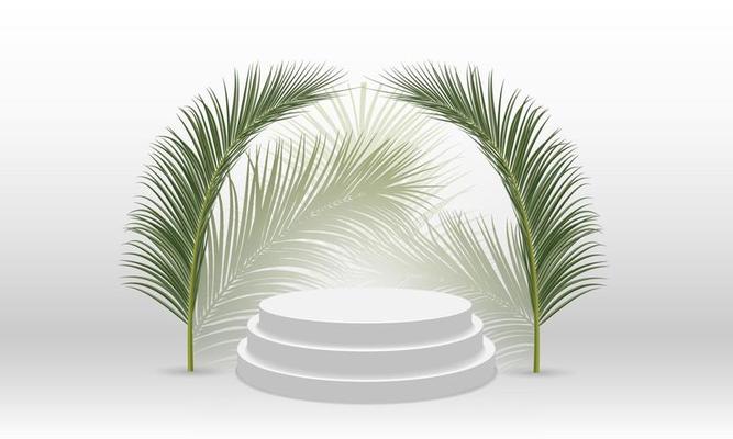 White product display podium with coconut leaves