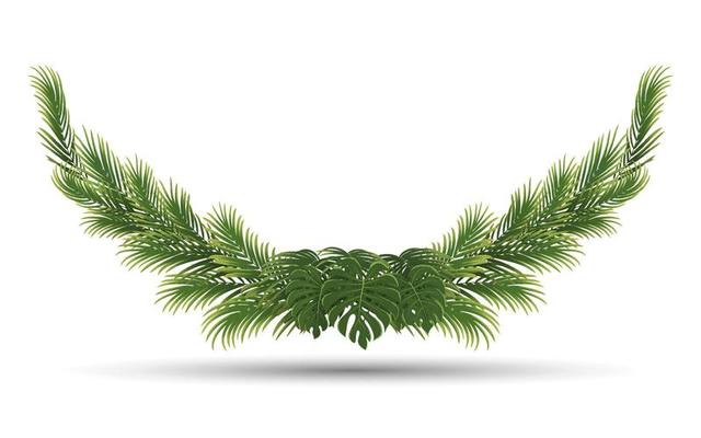 palm leaves frame, green nature leaf border
