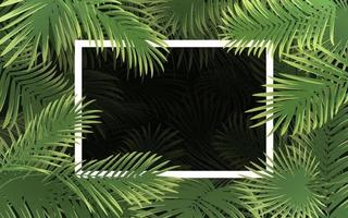 Bright tropical background with palm leaf vector