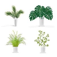 set of plants in vase vector
