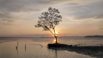 timelapse lindo céu pôr do sol no pôr do sol video