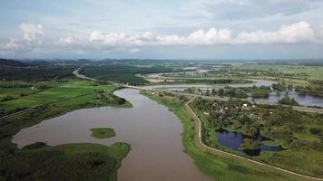 Aerial Sungai Muda and green field. video