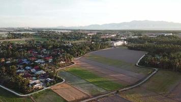 vista aerea la casa di kampung malese e la risaia dopo la raccolta. video