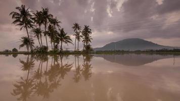 time-lapse bewolkte dag reflectie in het water video