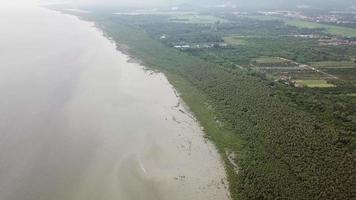 luchtfoto drone uitzicht mangrovebomen in de buurt van zee bij balik pula, penang. video