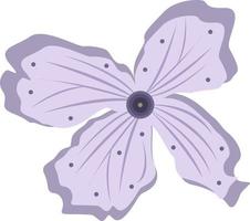 Lunaria flower illustration for graphic design and decorative element vector