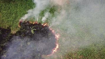 bruciando l'erba in campo aperto. video