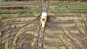 Worker uses harvester to harvest rice in paddy field. video