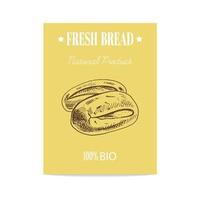 cartel de pan largo de croquis dibujado a mano vectorial. comida ecológica. iconos y elementos para impresión, etiquetas, embalaje. vector