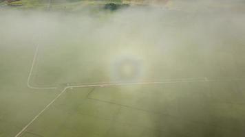 l'anneau de halo arc-en-ciel aérien apparaît au nuage blanc au-dessus de la rizière verte. video