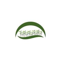 plantilla de diseño de ilustración de vector de logotipo de hierba