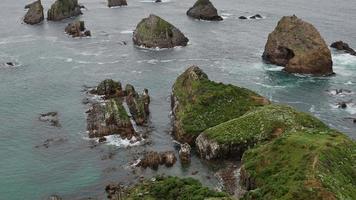 a formação rochosa em nugget point, ilha sul video