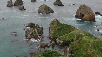 klippformationen vid nugget point, södra ön video