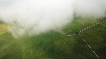 Aerial white cloud move over the green paddy field at Malaysia, Southeast Asia. video