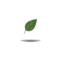 leaf icon vector illustration design template